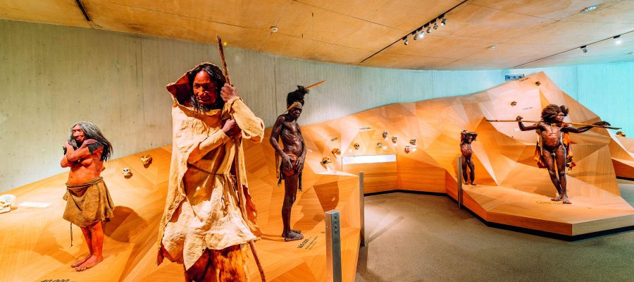 Copyright: Neandertal Stammbusch Ausstellung Copyright Neanderthal Museum